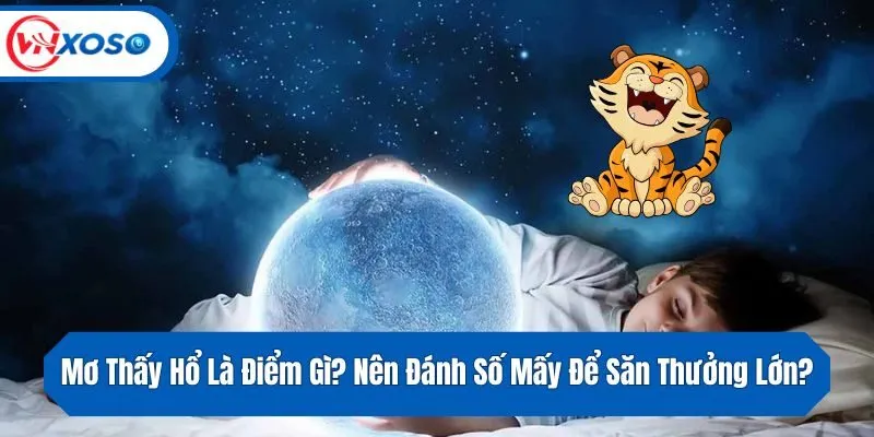 Mơ Thấy Hổ Là Điểm Gì? Nên Đánh Số Mấy Để Săn Thưởng Lớn?